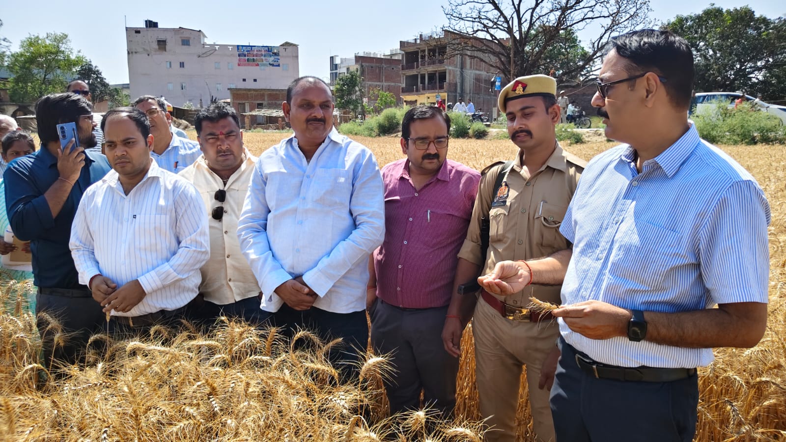डीएम द्वारा क्रॉप कटिंग कर फसल उपज का कराया गया आकलन
