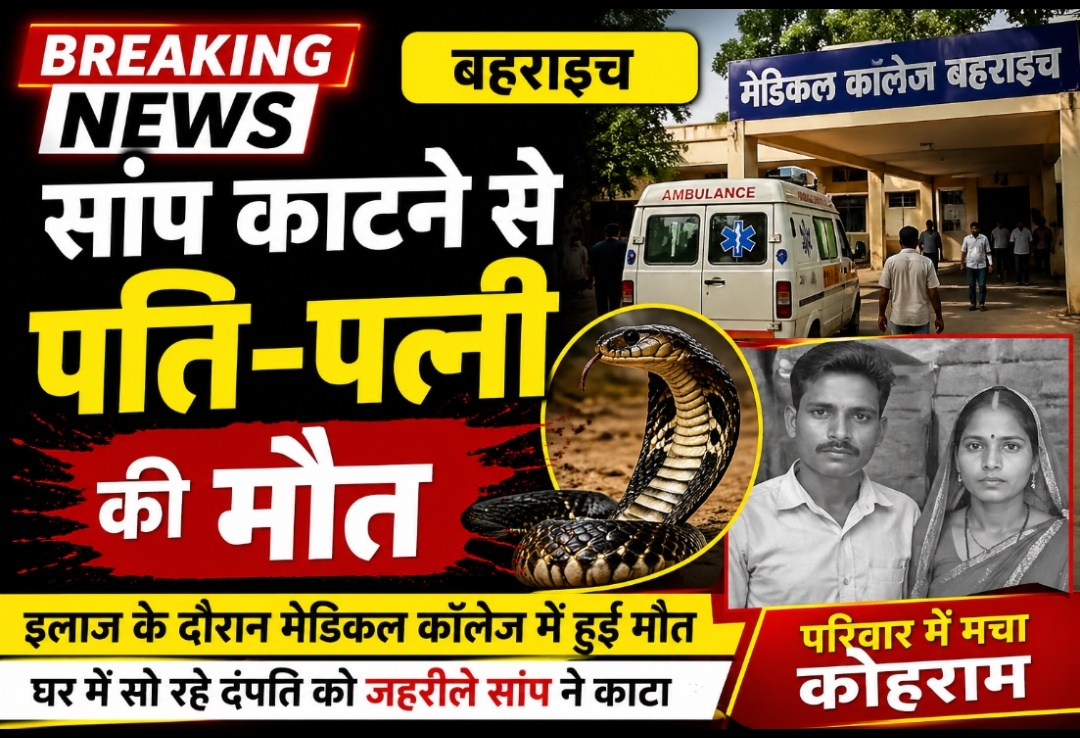 बहराइच में सांप के काटने से दंपति की मौत, इलाज के दौरान तोड़ा दम